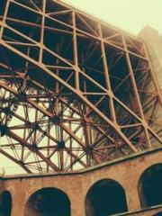 Transmigration: Feel