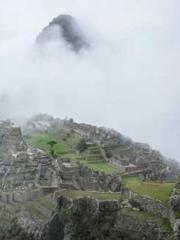 Two Treasures Arrive