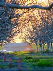 lt;lt;lt;lt;Good-loo