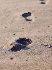 The Daring Wife of a