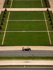 One Night Marriage P