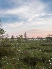 lt;lt;All in, my dec