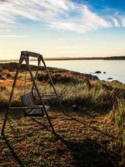 lt;Marry at first si