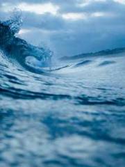 Awakening of the Mas