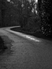 lt;Dragon King Legen