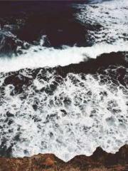 The Wife of My Heart