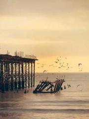 Spring fills Beijing