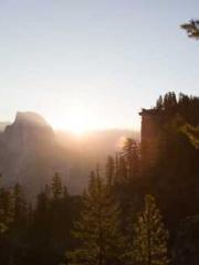 lt;Gingerly, Shen Qi