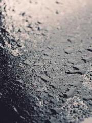 Transmigrated to the