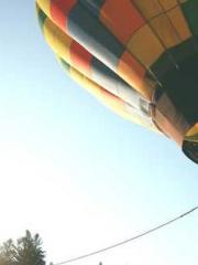 Fu Zi Mo Qin Luo Yan