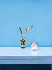 Falling for You: The