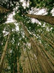 lt;Natural Disasters