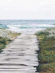 The Poisonous Doctor