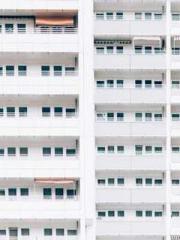 The young masterapos