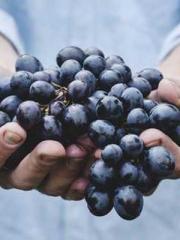 Meng Jinyu Gu Jingxi