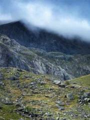 Cold-hearted Inkapos