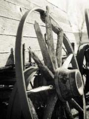 The Imperial Concubi