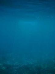 One Night Marriage P