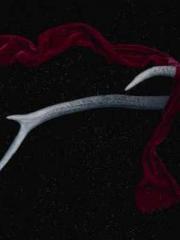 lt;lt;lt;Visionary S