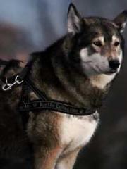 Spoil you in my arms