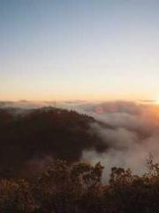 Bones-Eating Marriag