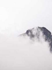 Rebirth as a Court A