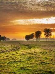 lt;Marry at first si