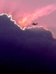 The Hardships of a D