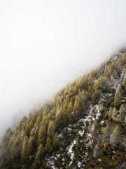 The Best Little Body