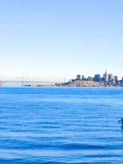 High School Campus S