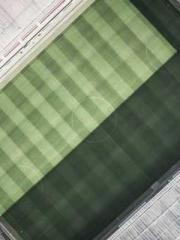 Super husband Lin Xi