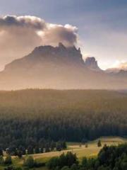 Super husband Lin Xi